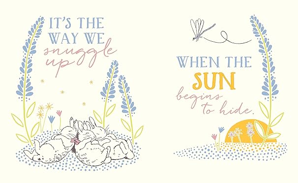Love From Peter Rabbit – Children's Book | Boutique LH Montréal