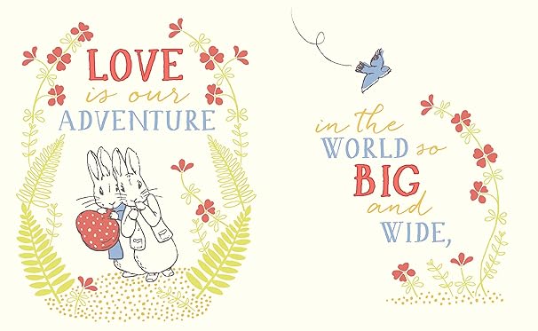 L'amour du livre Pierre Lapin