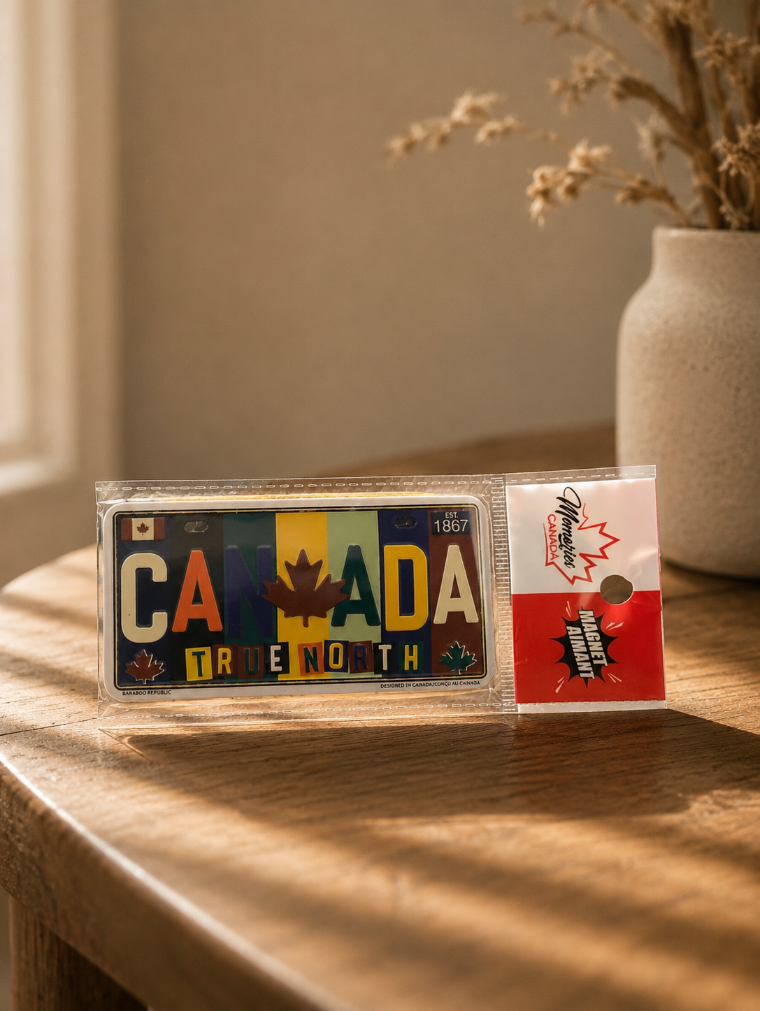 Québec License Plate Magnet | Colorful Québec Souvenir Collectible (Copy)